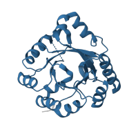 The deposited structure of PDB entry 1viz contains 2 copies of Pfam domain PF01884 (PcrB family) in Heptaprenylglyceryl phosphate synthase. Showing 1 copy in chain A.