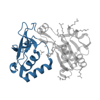 The deposited structure of PDB entry 1vk1 contains 1 copy of CATH domain 3.90.1530.10 (Conserved hypothetical protein from pyrococcus furiosus pfu- 392566-001, ParB domain) in ParB/Sulfiredoxin domain-containing protein. Showing 1 copy in chain A.