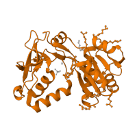 The deposited structure of PDB entry 1vk1 contains 1 copy of SCOP domain 110853 (Hypothetical protein PF0380) in ParB/Sulfiredoxin domain-containing protein. Showing 1 copy in chain A.