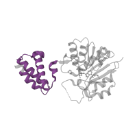 The deposited structure of PDB entry 1vq1 contains 2 copies of Pfam domain PF17827 (PrmC N-terminal domain) in Release factor glutamine methyltransferase. Showing 1 copy in chain A.