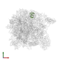 Large ribosomal subunit protein uL14 in PDB entry 1vq5, assembly 1, front view.