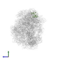 Large ribosomal subunit protein uL14 in PDB entry 1vq5, assembly 1, side view.