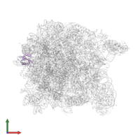 Large ribosomal subunit protein uL23 in PDB entry 1vq5, assembly 1, front view.