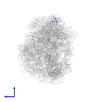 Large ribosomal subunit protein eL24 in PDB entry 1vq5, assembly 1, side view.