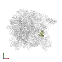 Large ribosomal subunit protein uL30 in PDB entry 1vq5, assembly 1, front view.