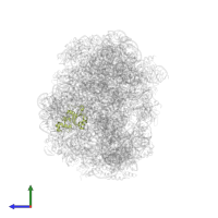 Large ribosomal subunit protein uL30 in PDB entry 1vq5, assembly 1, side view.