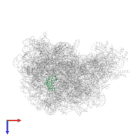 Large ribosomal subunit protein eL31 in PDB entry 1vq5, assembly 1, top view.