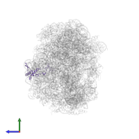 Large ribosomal subunit protein eL32 in PDB entry 1vq5, assembly 1, side view.