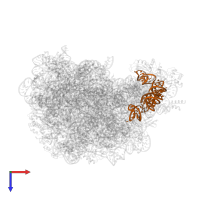 5S ribosomal RNA in PDB entry 1vq5, assembly 1, top view.