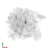 5'-D(*(DC)P*(DC)P*(5AA)P*(2OP)P*(PO2)P*AP*C*C)-3') in PDB entry 1vq5, assembly 1, front view.