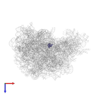5'-D(*(DC)P*(DC)P*(5AA)P*(2OP)P*(PO2)P*AP*C*C)-3') in PDB entry 1vq5, assembly 1, top view.