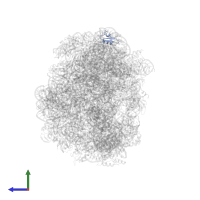 Large ribosomal subunit protein eL24 in PDB entry 1vqp, assembly 1, side view.