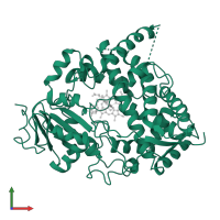 Cytochrome P450 3A4 in PDB entry 1w0g, assembly 1, front view.