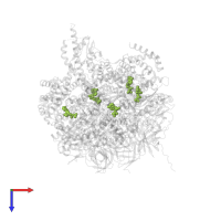 ADENOSINE-5'-DIPHOSPHATE in PDB entry 1w0j, assembly 1, top view.