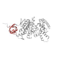 The deposited structure of PDB entry 1w0k contains 3 copies of Pfam domain PF02874 (ATP synthase alpha/beta family, beta-barrel domain) in ATP synthase subunit alpha, mitochondrial. Showing 1 copy in chain C.