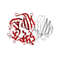 The deposited structure of PDB entry 1w2t contains 6 copies of CATH domain 2.115.10.20 (Tachylectin-2; Chain A) in Beta-fructosidase. Showing 1 copy in chain A.