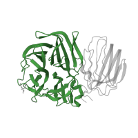 The deposited structure of PDB entry 1w2t contains 6 copies of Pfam domain PF00251 (Glycosyl hydrolases family 32 N-terminal domain) in Beta-fructosidase. Showing 1 copy in chain A.