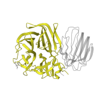 The deposited structure of PDB entry 1w2t contains 6 copies of SCOP domain 101884 (Glycosyl hydrolases family 32 N-terminal domain) in Beta-fructosidase. Showing 1 copy in chain A.