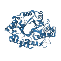 The deposited structure of PDB entry 1w2v contains 2 copies of Pfam domain PF00331 (Glycosyl hydrolase family 10) in Endo-1,4-beta-xylanase A. Showing 1 copy in chain A.
