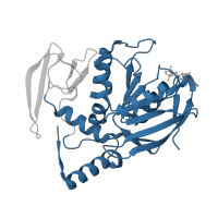 The deposited structure of PDB entry 1w4b contains 3 copies of CATH domain 3.40.50.300 (Rossmann fold) in NTPase P4. Showing 1 copy in chain A.