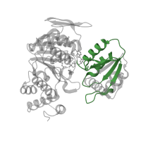 The deposited structure of PDB entry 1w7k contains 1 copy of Pfam domain PF02875 (Mur ligase family, glutamate ligase domain) in Dihydrofolate synthase/folylpolyglutamate synthase. Showing 1 copy in chain A.