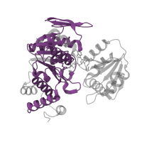 The deposited structure of PDB entry 1w7k contains 1 copy of Pfam domain PF08245 (Mur ligase middle domain) in Dihydrofolate synthase/folylpolyglutamate synthase. Showing 1 copy in chain A.