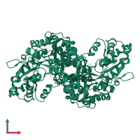 Kynurenine--oxoglutarate transaminase 1 in PDB entry 1w7m, assembly 1, front view.