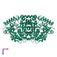 Kynurenine--oxoglutarate transaminase 1 in PDB entry 1w7m, assembly 1, top view.