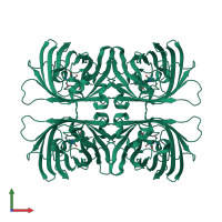 Homo tetrameric assembly 1 of PDB entry 1w7s coloured by chemically distinct molecules, front view.