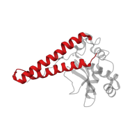 The deposited structure of PDB entry 1wb8 contains 2 copies of CATH domain 1.10.287.990 (Helix Hairpins) in Superoxide dismutase [Fe]. Showing 1 copy in chain A.