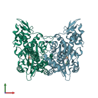 PDB entry 1wkv coloured by chain, front view.