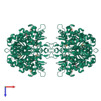 Homo tetrameric assembly 1 of PDB entry 1wl5 coloured by chemically distinct molecules, top view.