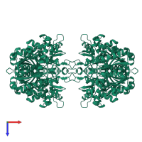 Acetyl-CoA acetyltransferase, cytosolic in PDB entry 1wl5, assembly 1, top view.