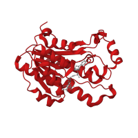 The deposited structure of PDB entry 1wnt contains 4 copies of CATH domain 3.40.50.720 (Rossmann fold) in L-xylulose reductase. Showing 1 copy in chain A.