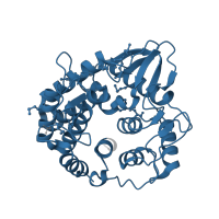 The deposited structure of PDB entry 1wzz contains 1 copy of Pfam domain PF01270 (Glycosyl hydrolases family 8) in Probable endoglucanase. Showing 1 copy in chain A.