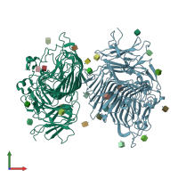 PDB entry 1x0c coloured by chain, front view.