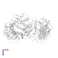 (4AR,6R,7S,8R,8AR)-8-((5R,6R)-3-CARBOXY-TETRAHYDRO-4,5,6-TRIHYDROXY-2H-PYRAN-2-YLOXY)-HEXAHYDRO-6,7-DIHYDROXY-2-METHYLPYRANO[3,2-D][1,3]DIOXINE-2-CARBOXYLIC ACID) in PDB entry 1x1j, assembly 1, top view.