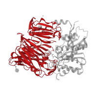 The deposited structure of PDB entry 1x70 contains 2 copies of CATH domain 2.140.10.30 (Methanol Dehydrogenase; Chain A) in Dipeptidyl peptidase 4. Showing 1 copy in chain A.