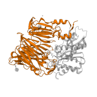 The deposited structure of PDB entry 1x70 contains 2 copies of SCOP domain 82172 (DPP6 N-terminal domain-like) in Dipeptidyl peptidase 4. Showing 1 copy in chain A.