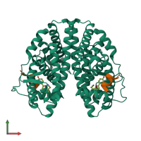 Hetero tetrameric assembly 1 of PDB entry 1x78 coloured by chemically distinct molecules, front view.