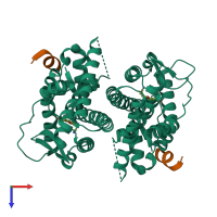 Hetero tetrameric assembly 1 of PDB entry 1x78 coloured by chemically distinct molecules, top view.