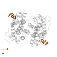 STEROID RECEPTOR COACTIVATOR-1 in PDB entry 1x78, assembly 1, top view.