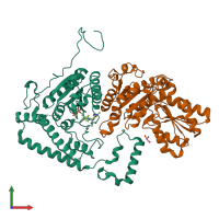 PDB entry 1x80 coloured by chain, front view.