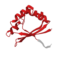 The deposited structure of PDB entry 1x8d contains 4 copies of CATH domain 3.30.70.100 (Alpha-Beta Plaits) in L-rhamnose mutarotase. Showing 1 copy in chain A.