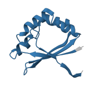 The deposited structure of PDB entry 1x8d contains 4 copies of Pfam domain PF05336 (L-rhamnose mutarotase) in L-rhamnose mutarotase. Showing 1 copy in chain A.