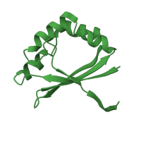 The deposited structure of PDB entry 1x8d contains 4 copies of SCOP domain 160298 (YiiL-like) in L-rhamnose mutarotase. Showing 1 copy in chain A.