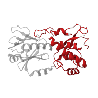 The deposited structure of PDB entry 1xc8 contains 1 copy of CATH domain 1.10.8.50 (Helicase, Ruva Protein; domain 3) in Formamidopyrimidine-DNA glycosylase. Showing 1 copy in chain C [auth A].