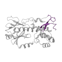 The deposited structure of PDB entry 1xc8 contains 1 copy of Pfam domain PF06827 (Zinc finger found in FPG and IleRS) in Formamidopyrimidine-DNA glycosylase. Showing 1 copy in chain C [auth A].