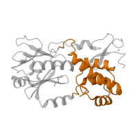 The deposited structure of PDB entry 1xc8 contains 1 copy of Pfam domain PF06831 (Formamidopyrimidine-DNA glycosylase H2TH domain) in Formamidopyrimidine-DNA glycosylase. Showing 1 copy in chain C [auth A].