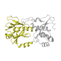 The deposited structure of PDB entry 1xc8 contains 1 copy of SCOP domain 81623 (N-terminal domain of MutM-like DNA repair proteins) in Formamidopyrimidine-DNA glycosylase. Showing 1 copy in chain C [auth A].